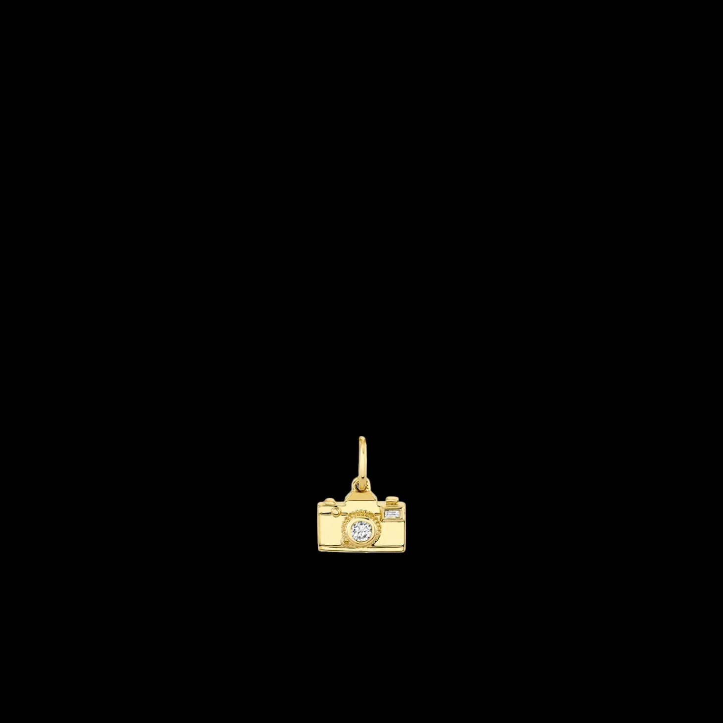 Gold & Diamond Camera Charm
