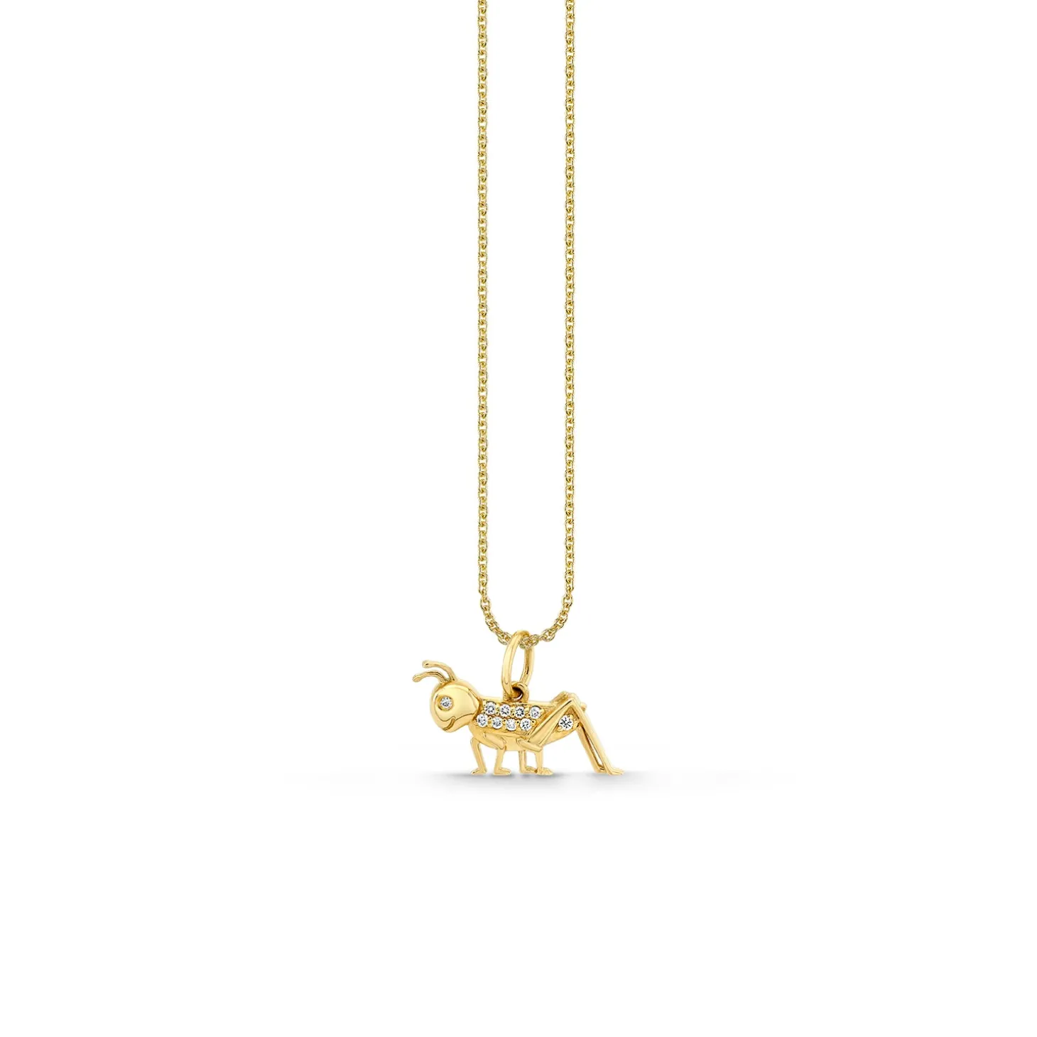 Gold & Diamond Cricket Charm
