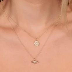 Gold & Diamond Cricket Charm