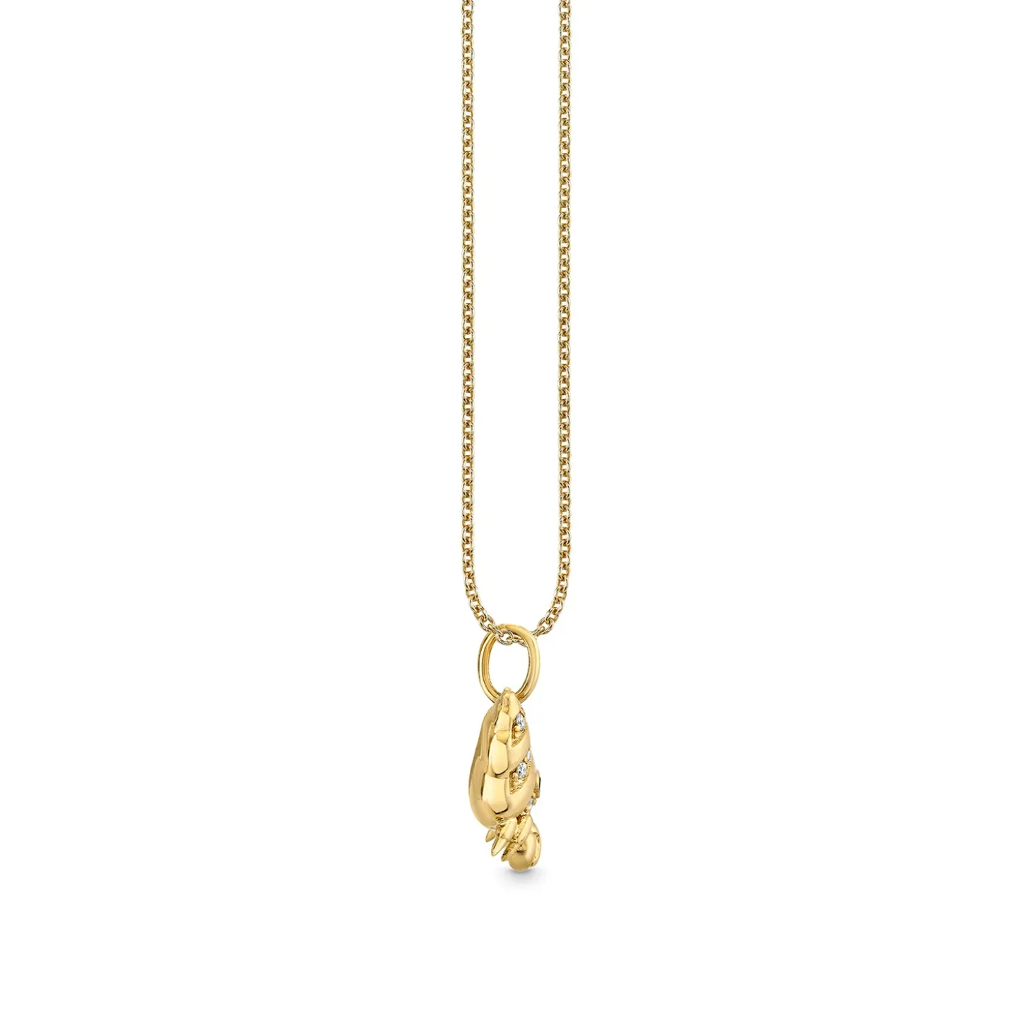 Gold & Diamond Hermit Crab Charm
