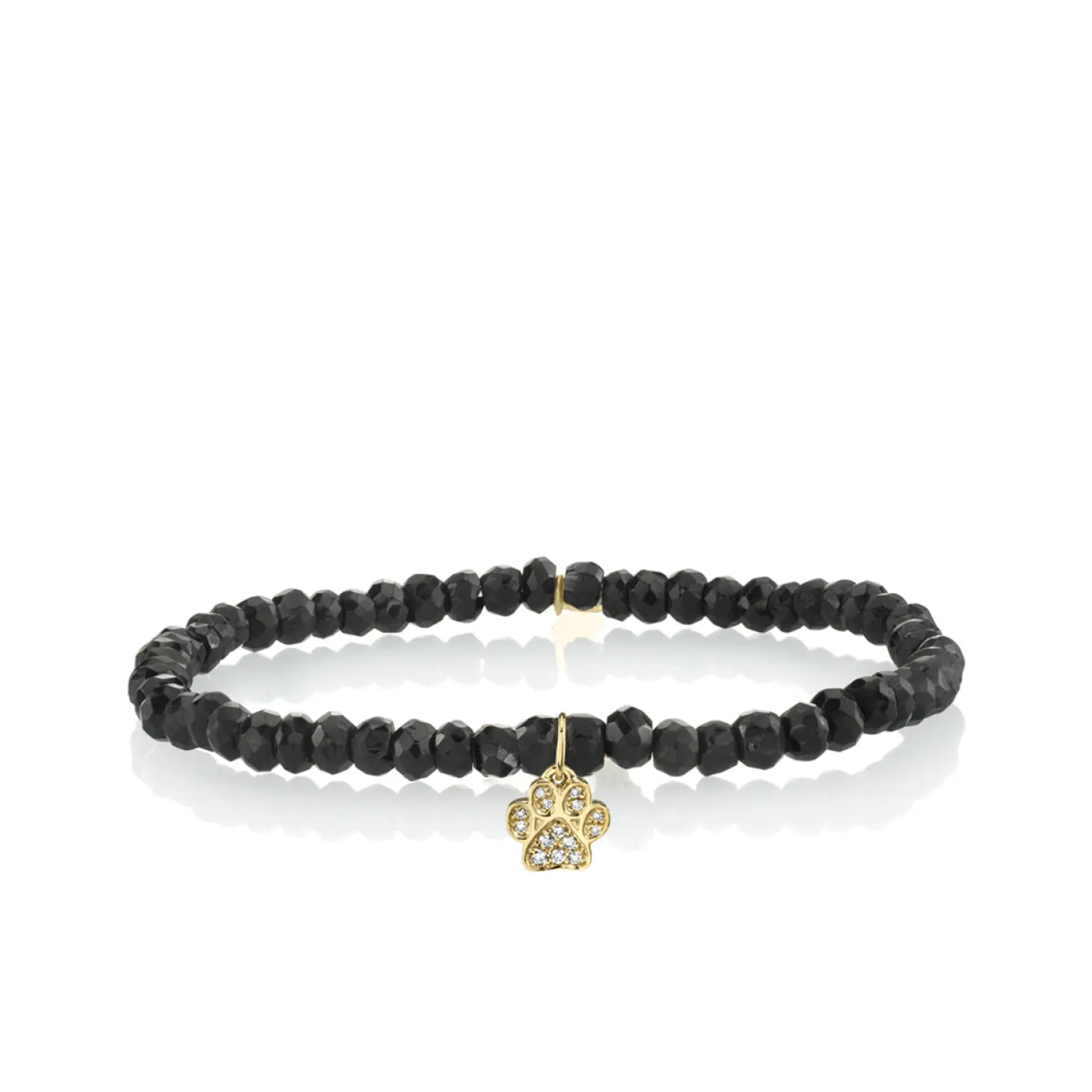 Gold & Diamond Paw on Black Spinel