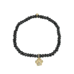 Gold & Diamond Paw on Black Spinel