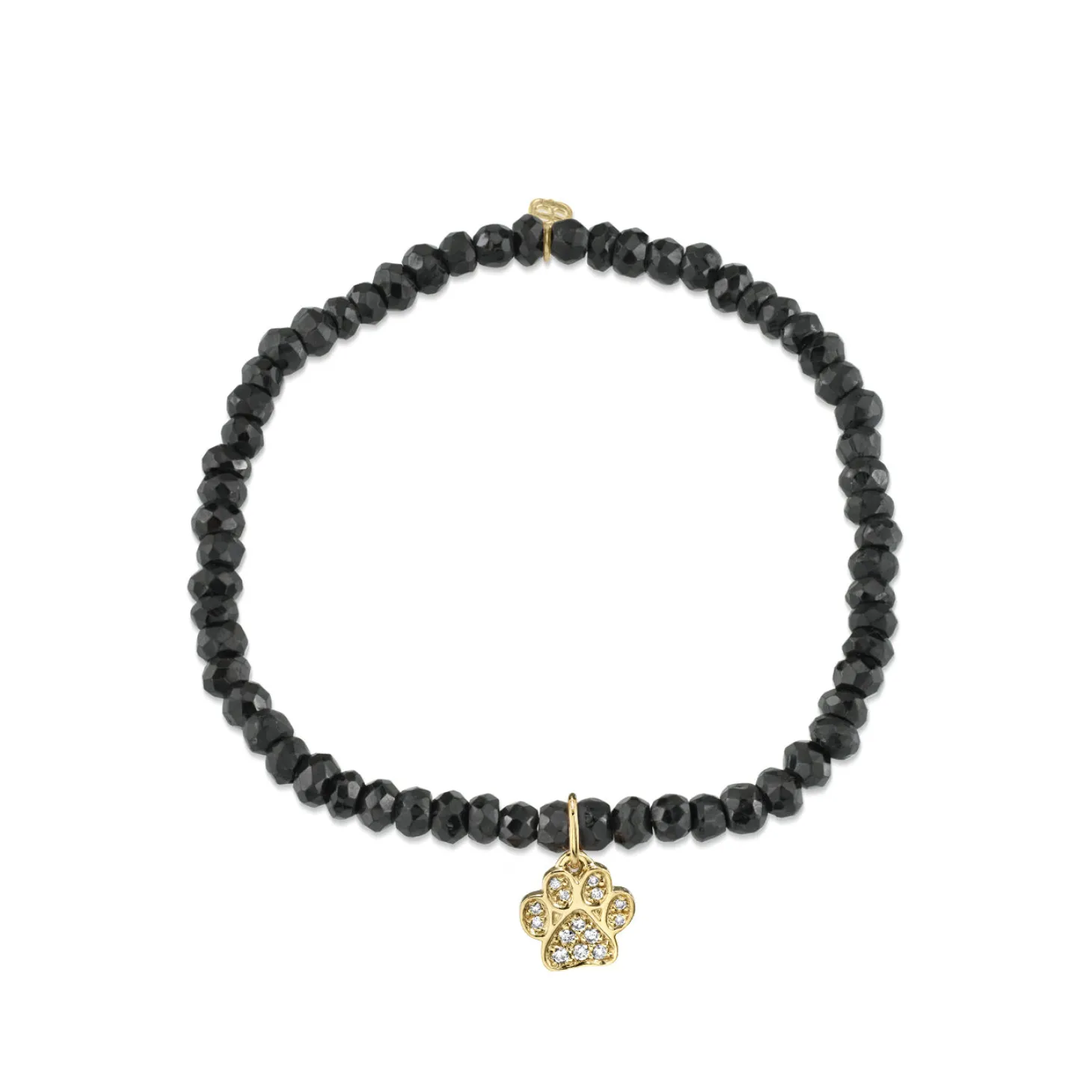 Gold & Diamond Paw on Black Spinel