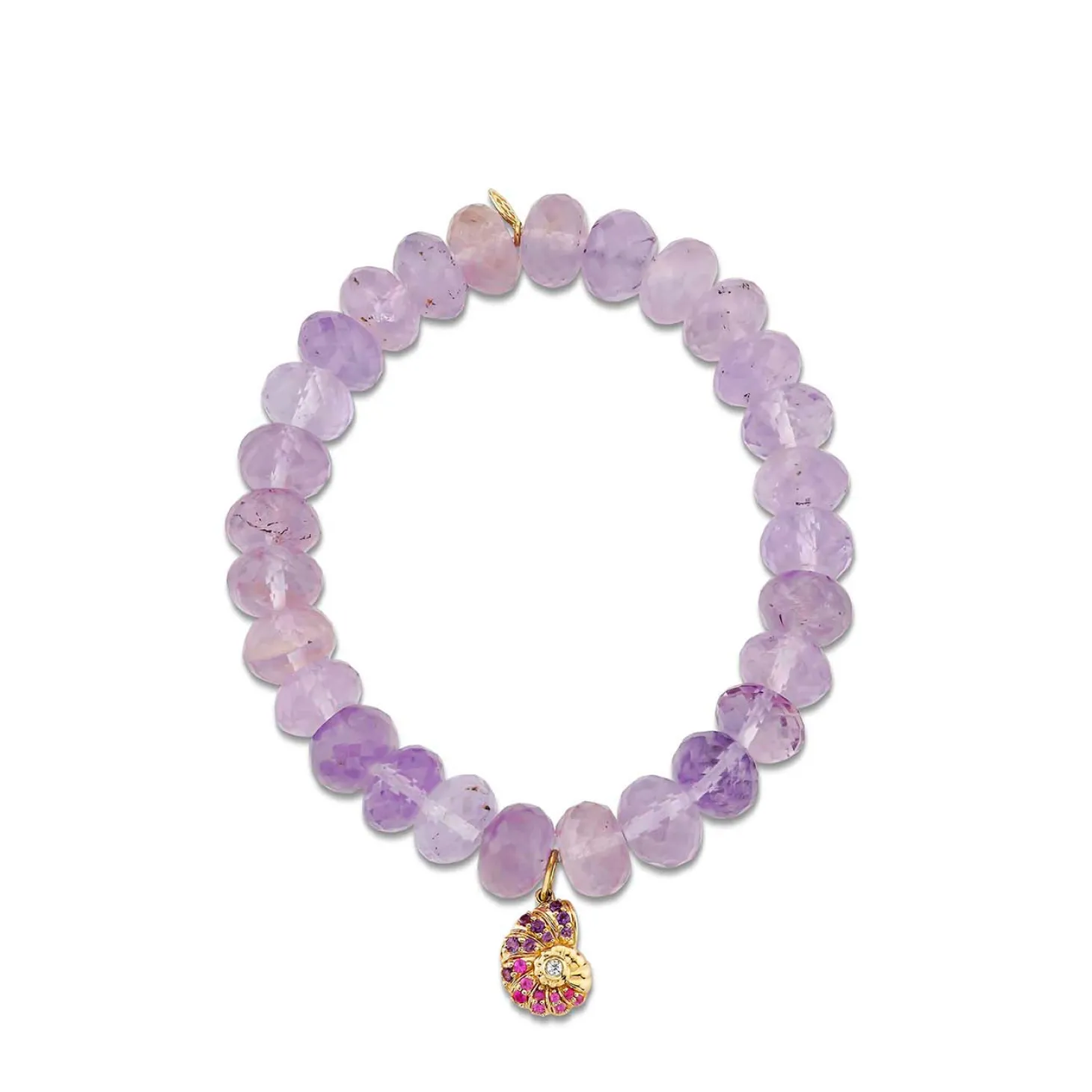 Gold & Sapphire Nautilus Shell on Amethyst