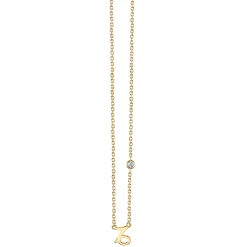 Gold Plated Sterling Silver Zodiac Necklace with Bezel Set Diamond