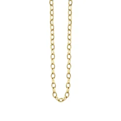 14k Gold Flat Oval Link Chain