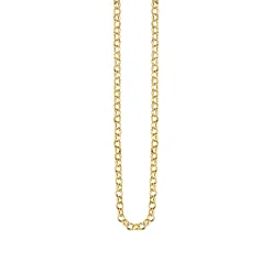 14k Gold Rolo Chain