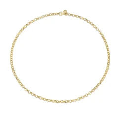 14k Gold Rolo Chain