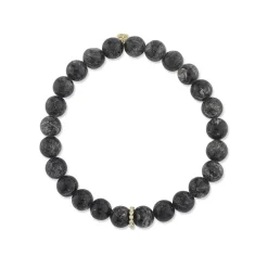 Men's Collection Gold & Diamond Rondelle on Hypersthene