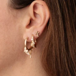 Pure Gold 20th Anniversary Icon Medium Hoops