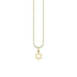 Pure Gold Tiny Star Of David Charm